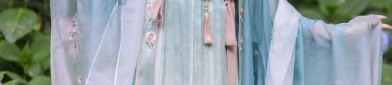 The 14-Year-Olds Journey into the World of Traditional Hanfu Fashion:A Taste of Ancient Charm