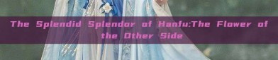 The Splendid Splendor of Hanfu:The Flower of the Other Side