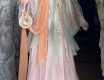 The Enchantment of a Girls Horseface Skirt and Blouse