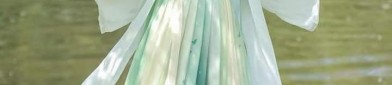 Exploring the World of Shan Hai Jing:The Exquisite Tale of Hanfu and the Gluttonous Taotie