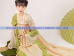 The Enchanting Red Hanfu Blouse Woman:A Glimpse into Traditional Chinese Elegance