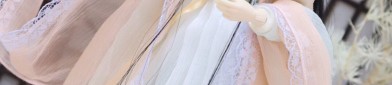 The Splendid Beauty of Plum Blossom and Three Layers of Horseface Skirt