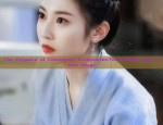 The Elegance of Cheongsam Accessories:The Fringes and Tassel Swags