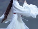 The Resurgence of Chinese Traditionalism:The Cultural Significance of Bai Cai Hanfu