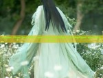 Winter Ming Dynasty Hanfu Costume for Women:A Complete Guide