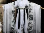 The Splendor of Horseface Skirt and the Charms of Qinhuais Water and Wood