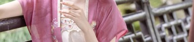 Premium Cheongsam Styles for Spring and Autumn