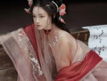 Splendor of the Hanfu:A Red Chest-Length Robe with a Skirt Length of 12 Meters