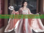 Everyday Wear:The Rise of Traditional Hanfu Tops