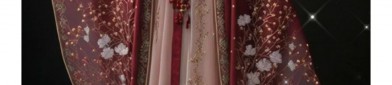 The Enchantment of Traditional Chinese Dress for a 3-Year-Old Child:The Story of a Hanfu Skirt