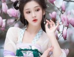 The Splendor of Black Ming-Style Hanfu Upper Clothing