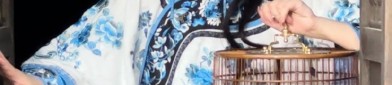 Embroidery Tang Suit for Women:A Long-lasting Fashion Statement