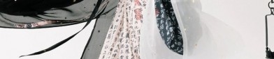 The Cultural Fusion of Hanfu and Taurus:A Journey Through the Zodiac in Chinese Tradition