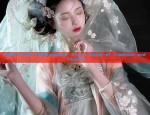 Embracing the Elegance:Song Dynasty Hanfu Womens Headwear