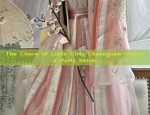 Exploring the World of Shan Hai Jing:The Exquisite Tale of Hanfu and the Gluttonous Taotie