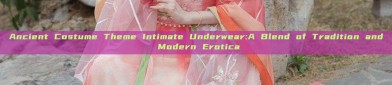 Ancient Costume Theme Intimate Underwear:A Blend of Tradition and Modern Erotica