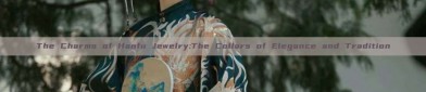 The Charms of Hanfu Jewelry:The Collars of Elegance and Tradition