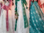 Exploring the Enigma of Black Hanfu Shoes:A Cultural Journey into Traditional Elegance