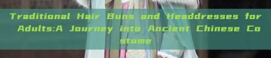 Traditional Hair Buns and Headdresses for Adults:A Journey into Ancient Chinese Costume