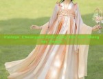 Elegant Hanfu Womens Traditional Qiyi Gowns:The Authentic Experience