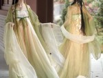 The Enchanting World of Childrens Hanfu Princess Gowns:A Journey into Traditional Elegance
