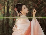 The Scholars Attire:Ming Dynasty Hanfu Costumes and Their Cultural Significance