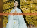 Ancient Girls Hanfu Skirt Outfit:A Complete Guide to Traditional Chinese Childrens Dress