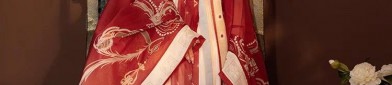 Ethereal Beauty in Traditional Chinese Fashion:The Enchanting World of Hanfu for Women