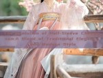 The Original Hanfu Robe of Lan Ting Sequence:The Splendor of Big Sleeves