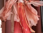 The Enigma of Ancient Womens Cape in Traditional Chinese Costumes