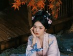 The Splendor of Ancient Hanfu Womens Clothing:A Journey Through Time