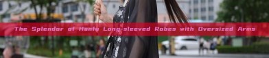 The Splendor of Hanfu Long-sleeved Robes with Oversized Arms