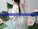 Summer in Traditional Chinese Womens Hanfu Costumes:A Journey Through Time