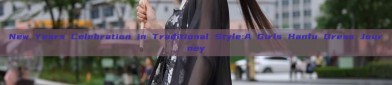 New Years Celebration in Traditional Style:A Girls Hanfu Dress Journey