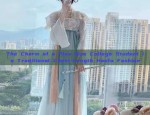 Winter Hanfu Fashion:A Complete Guide to Traditional Chinese Clothing