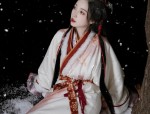 Starry Sky Deer:The Enchantment of Hanfu Fashion with a Cosmic Touch