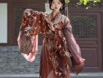Classical Dance in Hanfu Costumes:The Splendor of Sleeve Dance