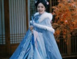 The Elegance of the Horseface Skirt in a Set:A Closer Look into Traditional Chinese Clothing