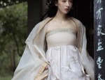 The Splendid Tapestry of the Dark-Patterned Horseface Skirt with its Zhijinyi Embroidery