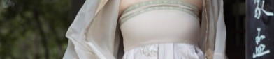 The Splendid Tapestry of the Dark-Patterned Horseface Skirt with its Zhijinyi Embroidery