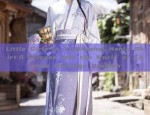 Shanghai Aristocrats Cheongsam Guide:A Glance into the Splendor of Traditional Beauty