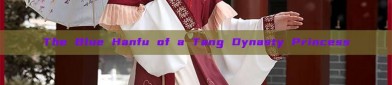 The Blue Hanfu of a Tang Dynasty Princess
