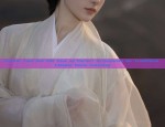 Winter Hanfu Costumes for Little Girls:A Guide to Traditional Elegance