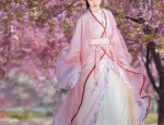The Concise Charm of Hanfu Hair Accessories:The Story of Hair Combs and Crowns