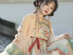 Veiled Elegance:The Ancient Charm of Hanfu with a Silk面纱