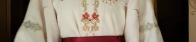 Exploring the Elegance of Traditional Chinese Womens Hanfu Costumes
