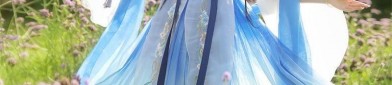 Hanfu Fashion for 14-Year-Old Beginners:Affordable Options with a Simple Price Tag