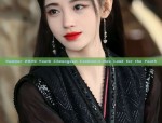 Ancient Grace:The Revival of Hanfu Princess Costumes as Traditional New Years Congratulation Attire