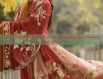 Starry Hanfu:Exploring the Zodiac in Nine-Year-Old Kids Eyes Through Hanfu Fashion