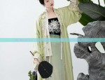 The Splendor of Hanfu Hair Combs and Tassel Decorations